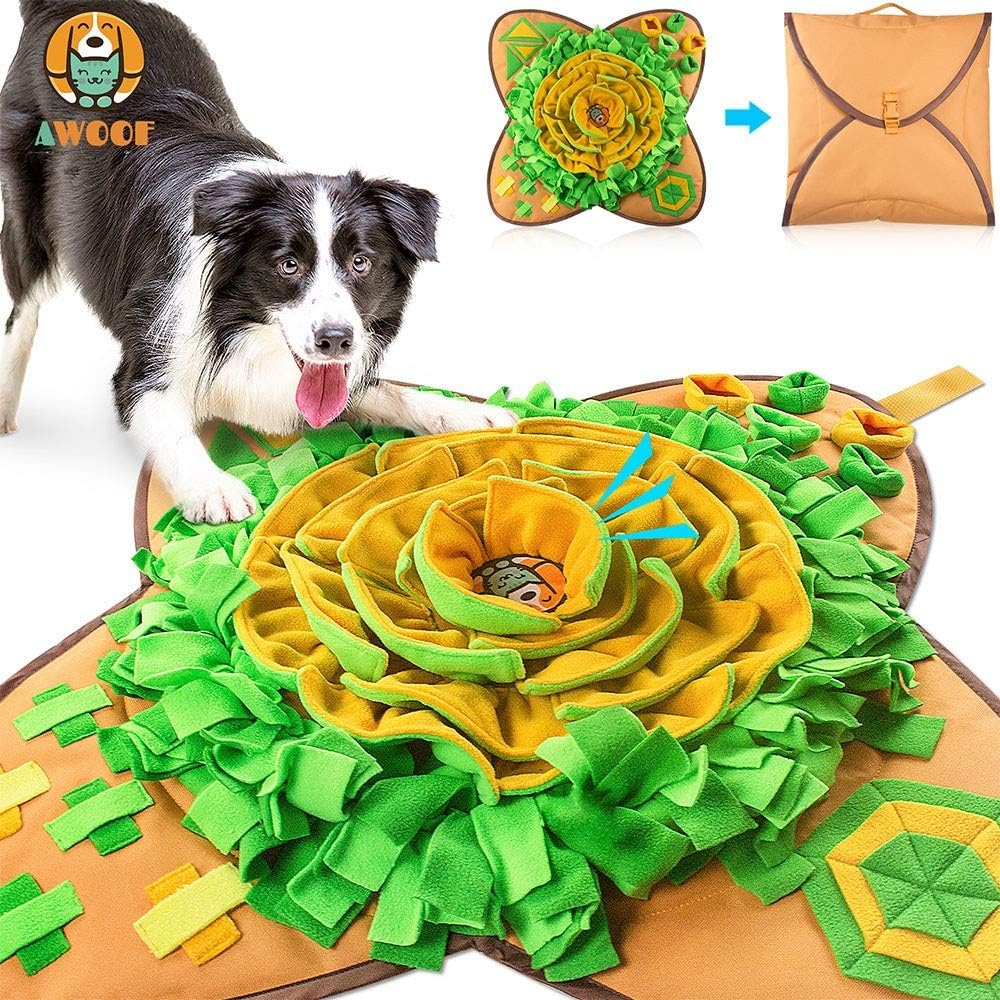 Neutral category illustration for How to Choose Pet Puzzle Toys for Short, Supervised Enrichment